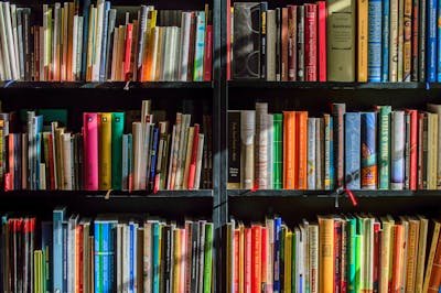 books-bookstore-book-reading-159711 L'Aventure du Royaume Perdu